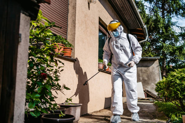 Reliable Bard College, NY Pest Control Solutions
