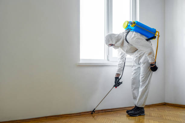 Best Affordable Pest Control Services  in Bard College, NY
