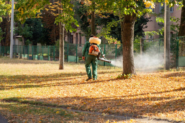 Best Pest Control Near Me in Bard College, NY