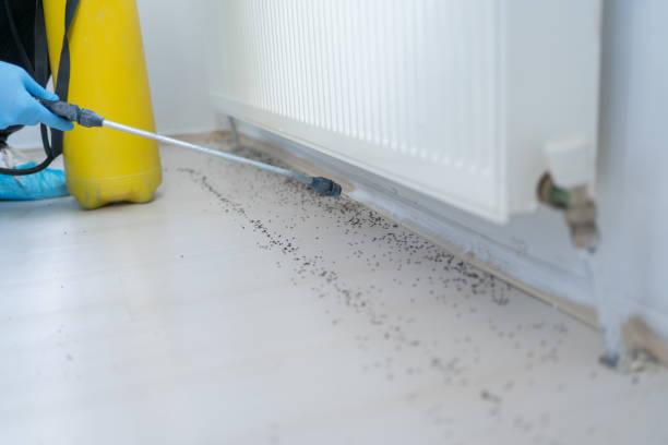 Best Mosquito Control Services  in Bard College, NY